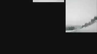 بوف مشد ديسكو