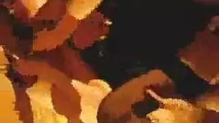 فيديو تركي ساخن مص وقوف كلابي