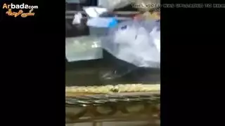 بيوت دعره مصر حريم كبر سك