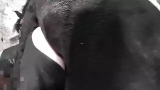 بورنوحشي عنيف: تزاوج الحصان والمرأة بشدة