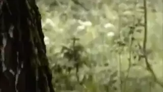 سكس علني عالماشي مخفي