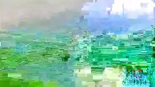 الحمار الصفاء الحصول على خبطت بشدة مع الديك الأسود الكبير