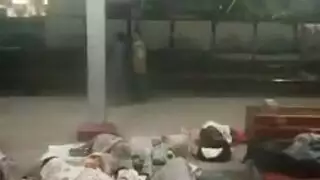 مثليه الملاعين غي النمساوي تورم الهرة