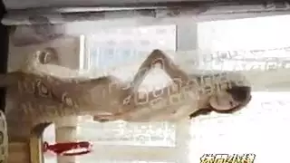 جوراد ينيك صديقي وامه