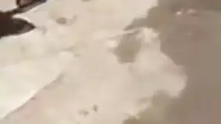 المسرح المحلي يتحول إلى حفلة إباحية مع نساء عاريات يعشقن المؤخرة