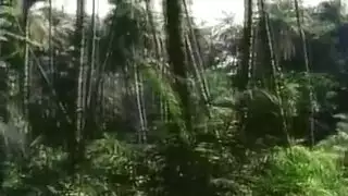 إباحية الأخ تجعل المعجبة تستمني بشدة