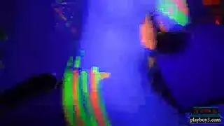 شجار إباحي للمتحولين: عاهرات الحريم في معركة جنسية