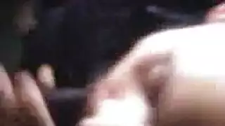 شرجي أنيق تأثيري