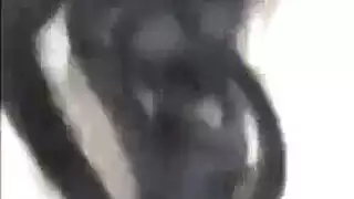 وحده سدرها باين