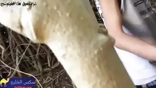 مصري رفيع ياخد حبيبتة الكيرفي في الجنينة و ينيكها في كسها