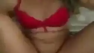 الذي يذاكر كثيرا الوردي الهرة مهرج