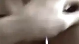 تعري هواة شاب ينتهي بجنس عنيف