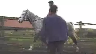 نيك في الاسطبل مع الحيوانات قديم