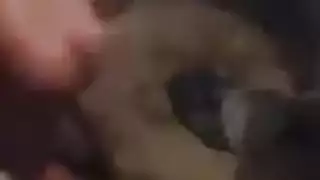 ريمة المتهتكة تُصور في فيلم إباحي من عميل متلصص