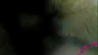 أقسام xxx: من الهواة إلى المحترفين في الإباحية