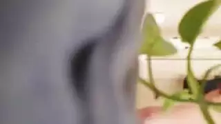ألعاب الأطفال أمي جمال