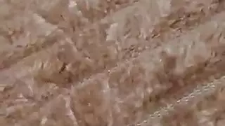 الام تطلب يقدف في كس في قرفت نومها