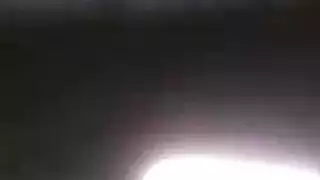 الأوكراني الديك الأسود صقيل